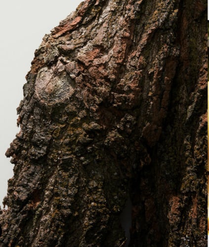 عطر K eau de parfum من DOLCE&GABBANA- 100 مل