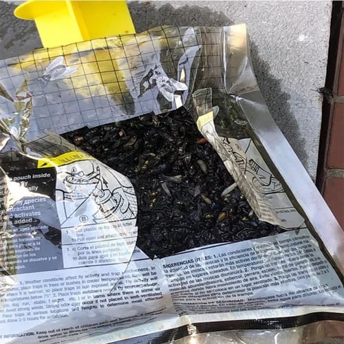 Disposable Fly Trap Non Toxic Outdoor Insect Kille...