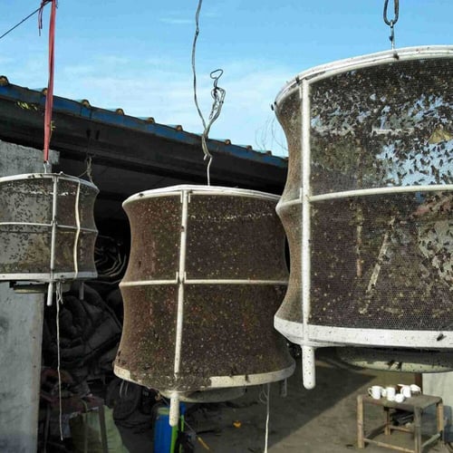 Reusable Flytrap Net Hanging Flies Cage Cockroach...