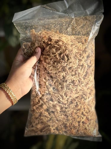 Dry Sphagnum Moss سباقنوم موس
