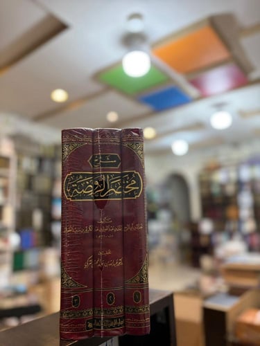 شرح مختصر الروضة - نجم الدين الطوفي 1/3