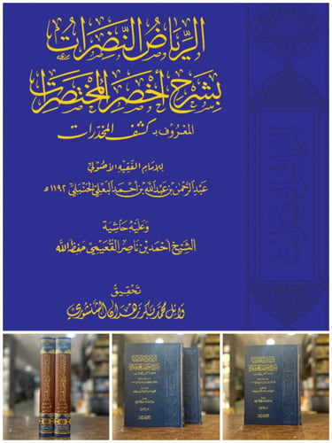 الرياض النضرات بشرح أخصر المختصرات 1/2
