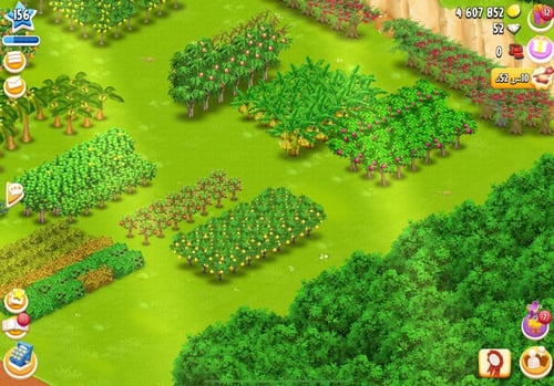 مزرعة شخصية مستوى 156+ هاي داي