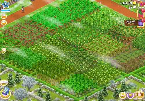 مزرعة شخصية مستوى 147+ هاي داي