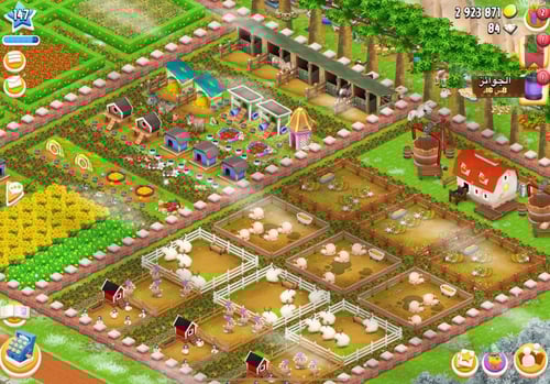 مزرعة شخصية مستوى 147+ هاي داي