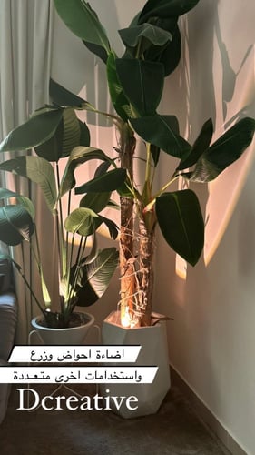 اضاءة للشجر واحواض الزرع بريموت بلوتوث (لون أبيض)