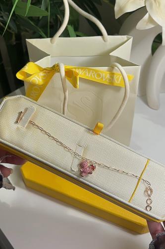 سـوار دُب SW