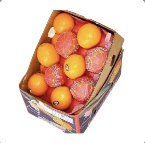 كرتون برتقال