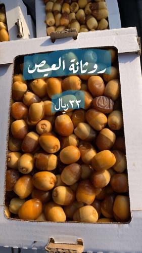 رطب روثانه فاخر