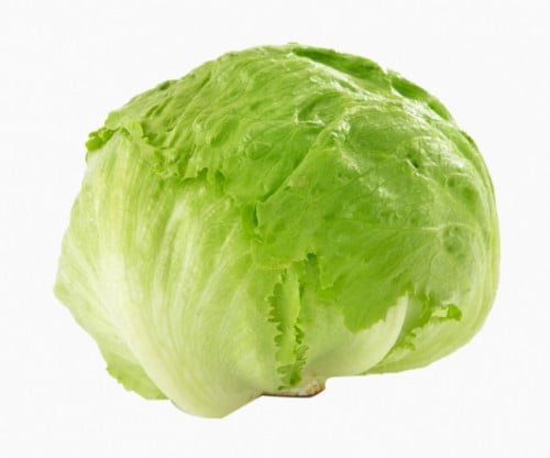 خس امريكي حبة