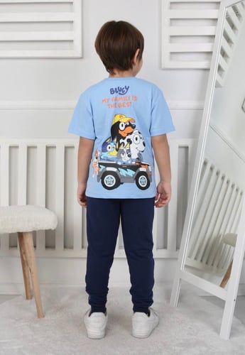 Bluey set
