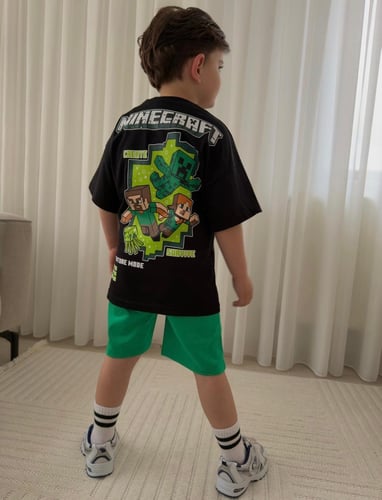 Minecraft set