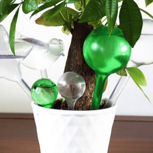 وعاء للسقي الذاتي للنباتات المنزلية