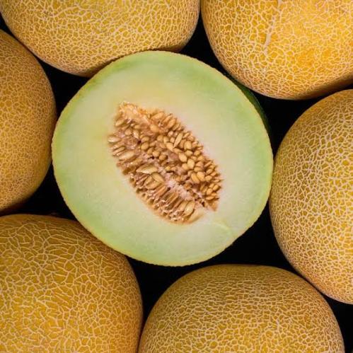 بذور شمام الأناناس ( Cucumis melo var. cantalupens...