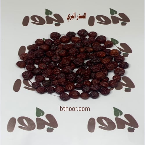 بذور السدر البري(RHAMNUS)