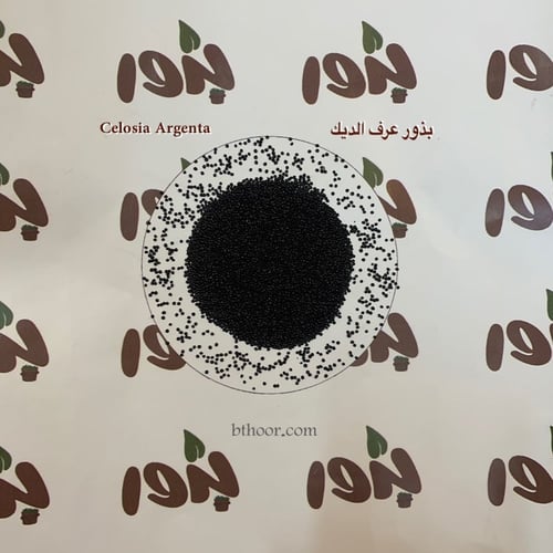 بذور زهرة عرف الديك ( جملة )