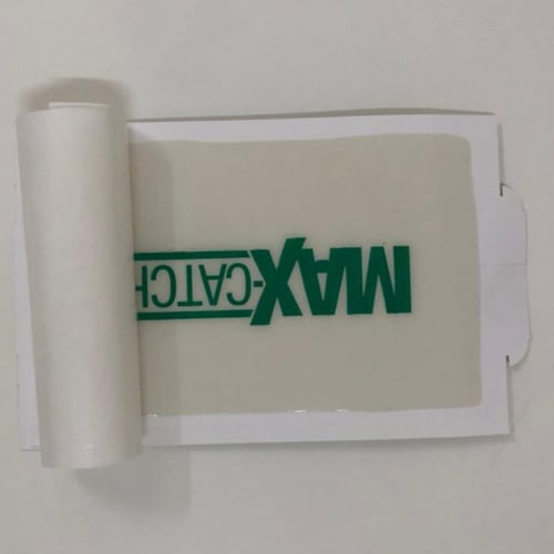 صائد الفئران والحشرات