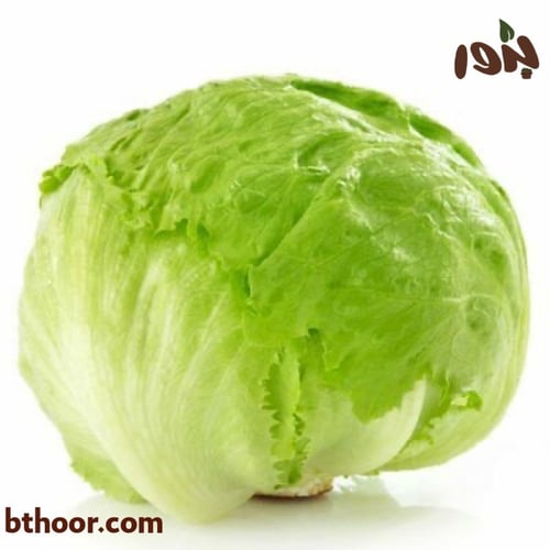 بذور الخس الأمريكي- خس ايسبيرغ (Crisphead Iceberg...