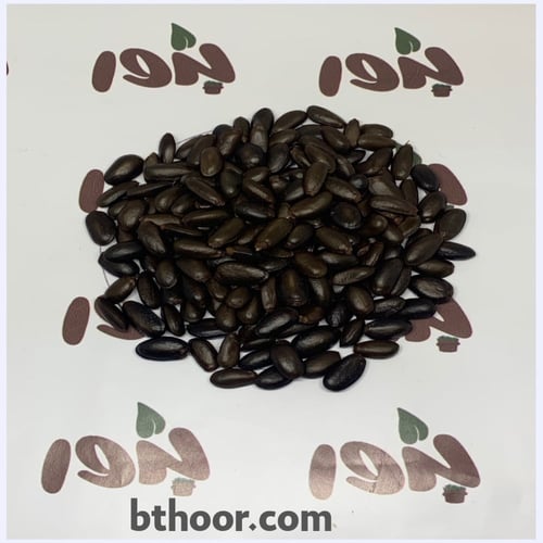 بذور فاكهة القشطة - Annona sp