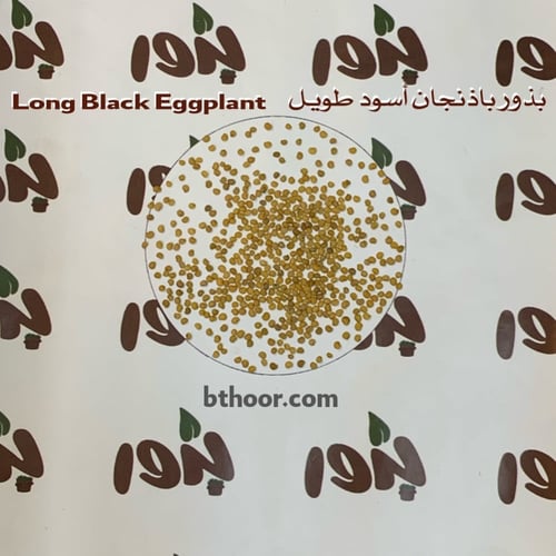 بذور باذنجان أسود طويل (Solanum Long Black Eggplan...