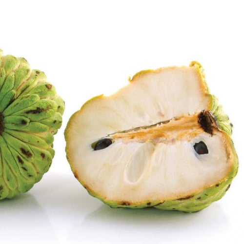 بذور فاكهة القشطة - Annona sp