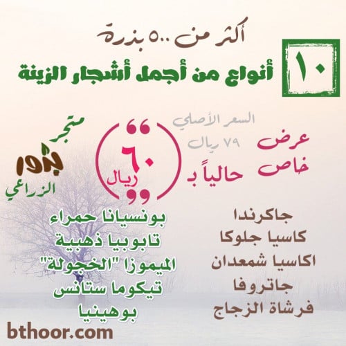 عرض بذور أشجار الزينة والظل