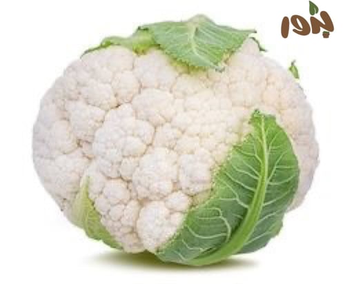 بذور القرنبيط - الزهرة البيضاء ( Brassica oleracea...