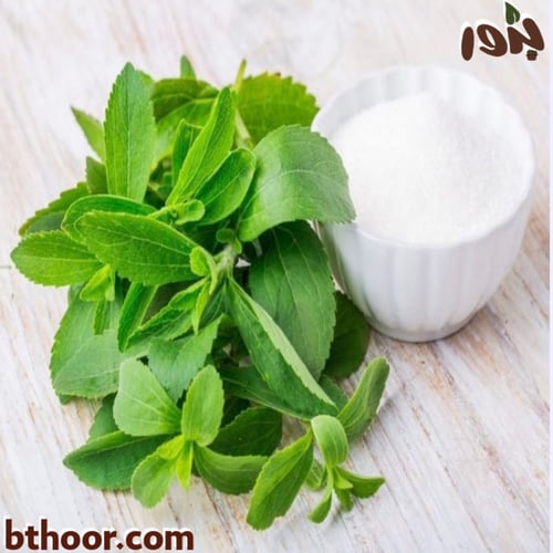 بذور ستيفيا-ورق السكر ( Stevia )