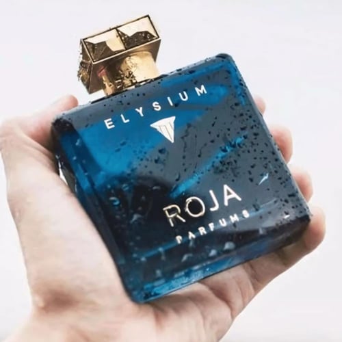 عطر روجا اليسيوم الرجالي 100 مل تستر
