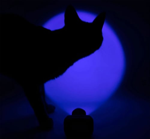 كشاف راس عقارب اضاءة بنفسجي وابيض