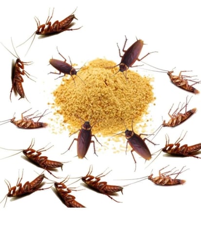 مبيد الصراصير والنمل