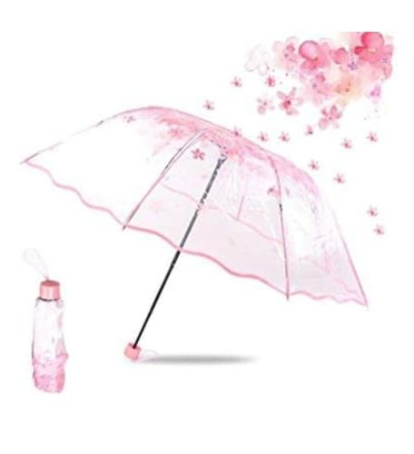 مظلة شفافة بأزهار الكرز