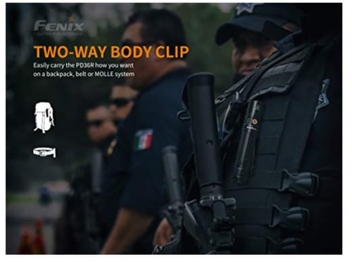 PD36Rكشاف فينكس