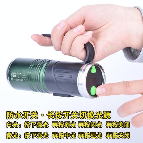 كشاف العقارب المطور اشعة فوق بنفسجيه