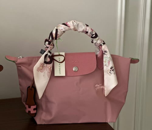 لونق تشامب توت باق