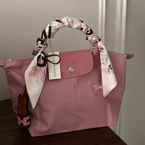 لونق تشامب توت باق