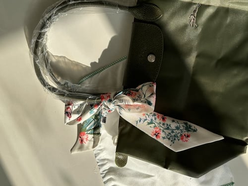 لونق تشامب توت باق