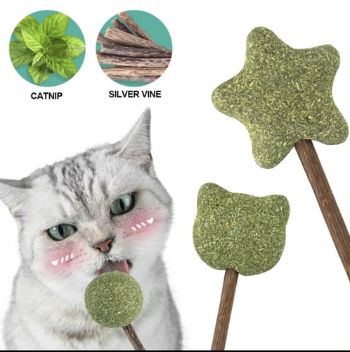 اعواد النعناع البري ونبات الكرمة الفضية (ماتاتابي)...