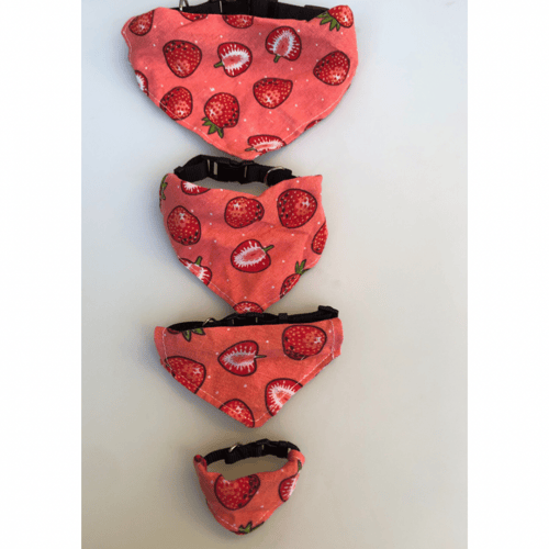 طوق وردي للقطط ،والكلاب