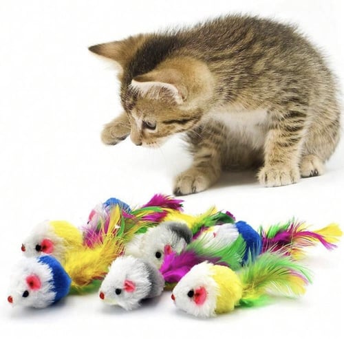 لعبة فأر للقطط