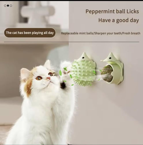 كرة بالعناع البري على شكل قنفذ