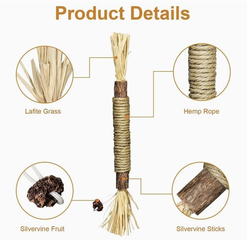 عيدان من نبات الكرمة الفضية والنعناع البري،العاب م...