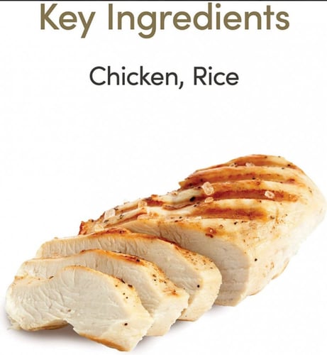 معلبات شرائح الدجاج في الجلي للقطط الصغيرة من شركة...