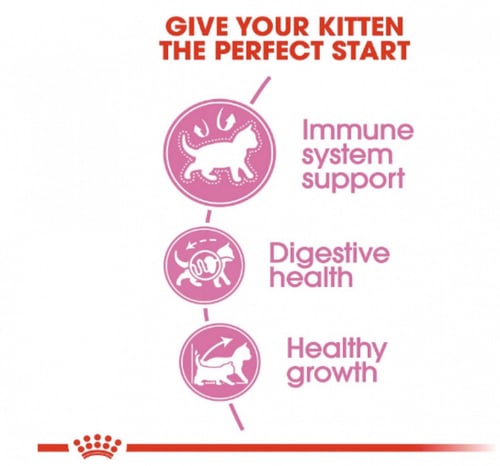 رويال كانين كيتن طعام جاف للقطط الصغيرة Royal cani...