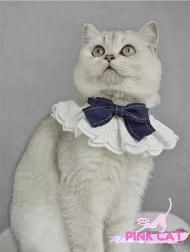 طوق للحيوانات الأليفة