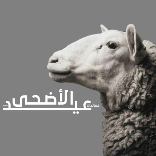 فعاليات عيد الأضحى