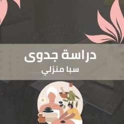 دراسة جدوى - سبا منزلي