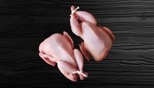 جوز حمام فرنسي