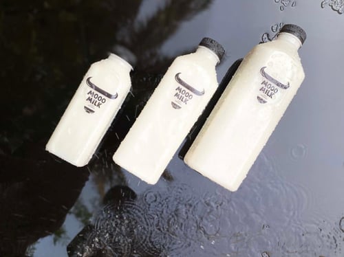 حليب بقر 300ML