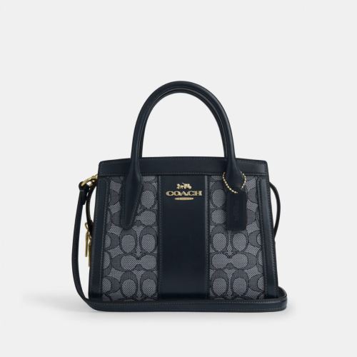 Coach Andrea Carryall Bag In Signature Canvas